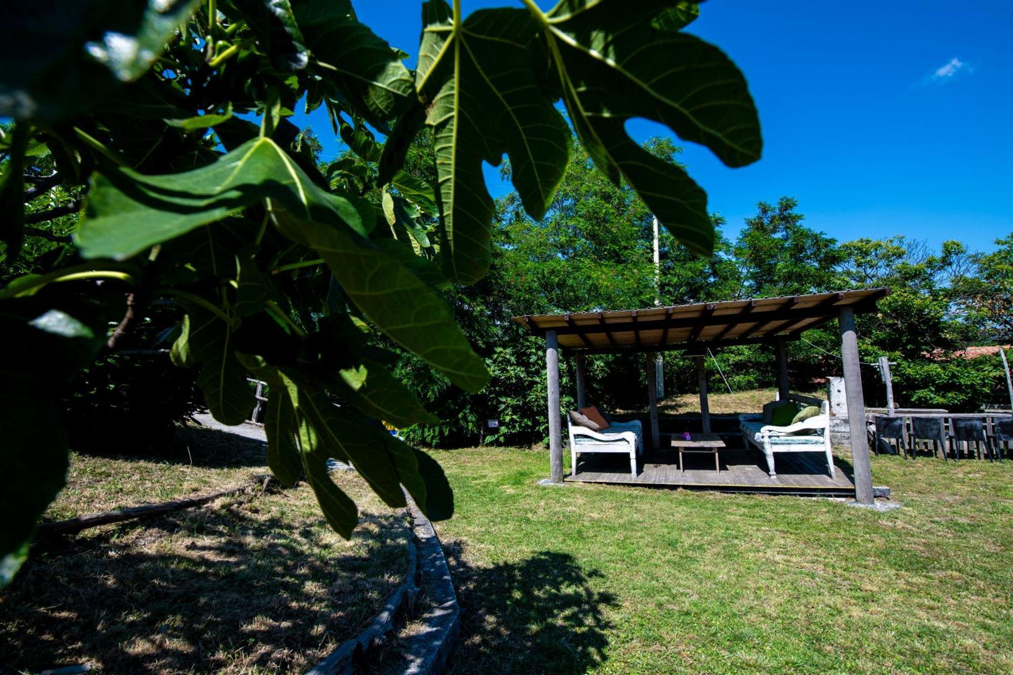211 - Acacia, Terrazza Giardino E Piscina